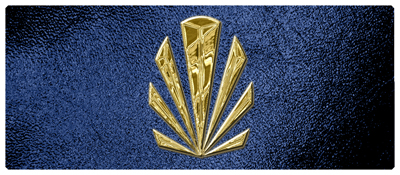 DNSEMP-L-602-GD-SH-BL Gold Sunburst Shimmer Blue